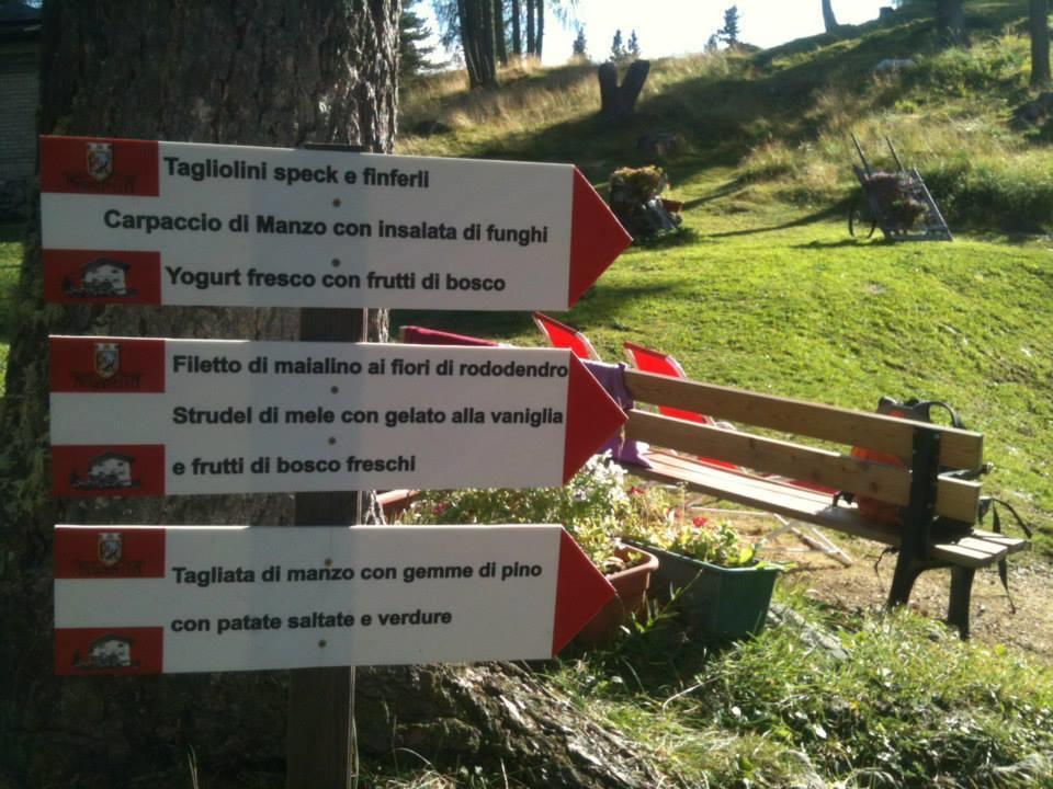 Rifugio Negritella Ξενοδοχείο Pozza di Fassa Εξωτερικό φωτογραφία