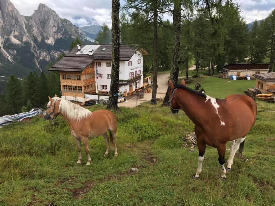 Rifugio Negritella Ξενοδοχείο Pozza di Fassa Εξωτερικό φωτογραφία