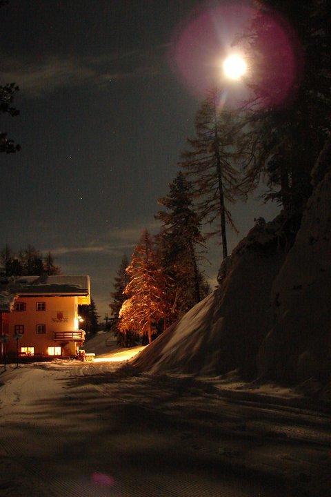 Rifugio Negritella Ξενοδοχείο Pozza di Fassa Εξωτερικό φωτογραφία