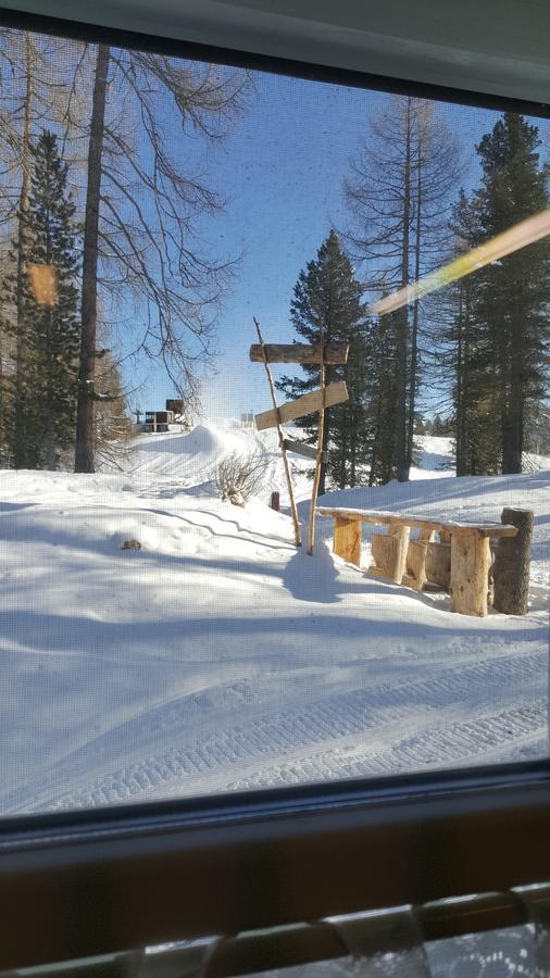 Rifugio Negritella Ξενοδοχείο Pozza di Fassa Εξωτερικό φωτογραφία